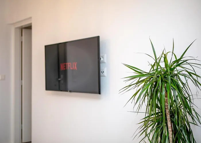 Agapitos ステリダ