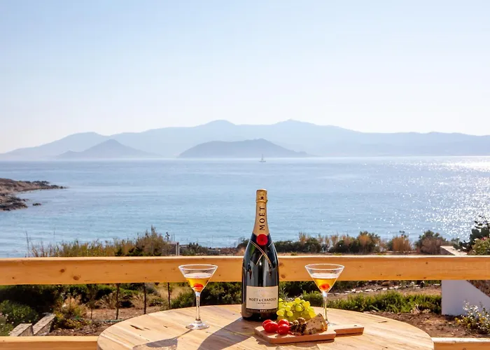 Agapitos ステリダ