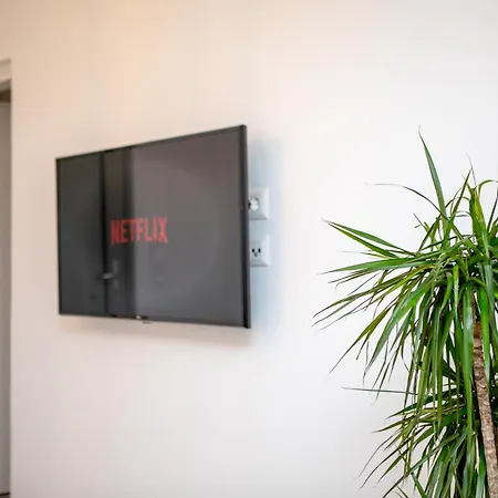 Agapitos Στελίδα